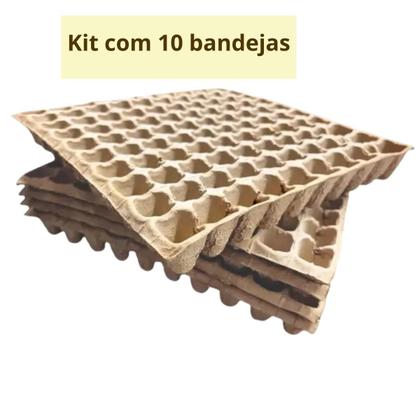 Imagem de Kit 10 Bandejas Biocompostáveis 100 Células - Vitalizem