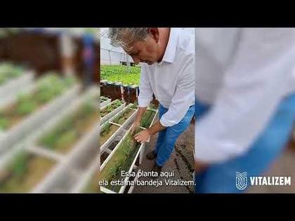 Imagem de Kit 10 Bandejas Biocompostáveis 100 Células - Vitalizem