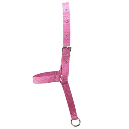 Imagem de Kit 10 Cabrestos de Fita para Bezerro SV39022 - Rosa