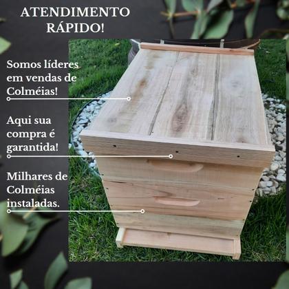 Imagem de KIT 10 Caixas Abelha Padrão Langstroth Eucalipto(arame/ilhoses)