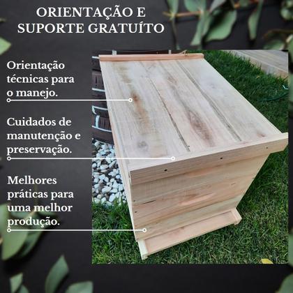 Imagem de KIT 10 Caixas Abelha Padrão Langstroth Eucalipto(arame/ilhoses)
