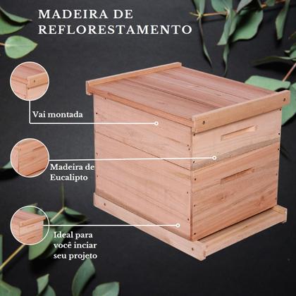 Imagem de KIT 10 Caixas Abelha Padrão Langstroth Eucalipto(arame/ilhoses)