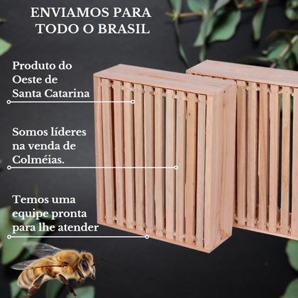 Imagem de KIT 10 Caixas Abelha Padrão Langstroth Eucalipto(arame/ilhoses)