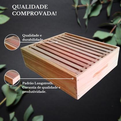 Imagem de KIT 10 Caixas Abelha Padrão Langstroth Eucalipto(arame/ilhoses)