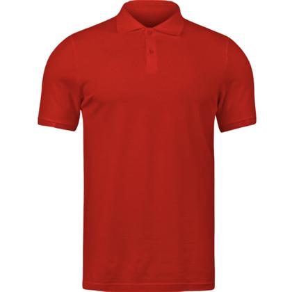 Imagem de Kit 10 Camiseta Gola Polo Masculino Atacado