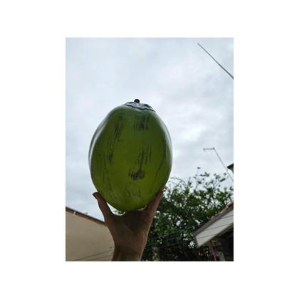 Imagem de Kit 10 Coco Decorativo Verde Plástico Carnaval Festa Fruta