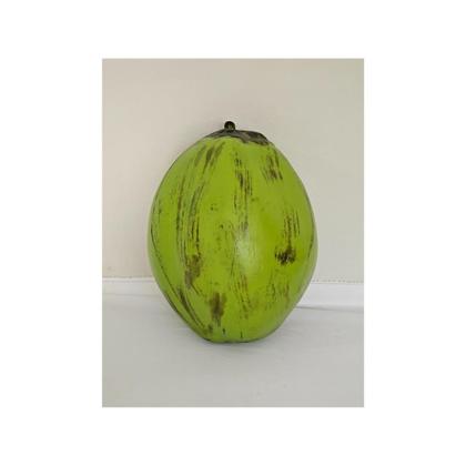 Imagem de Kit 10 Coco Decorativo Verde Plástico Carnaval Festa Fruta