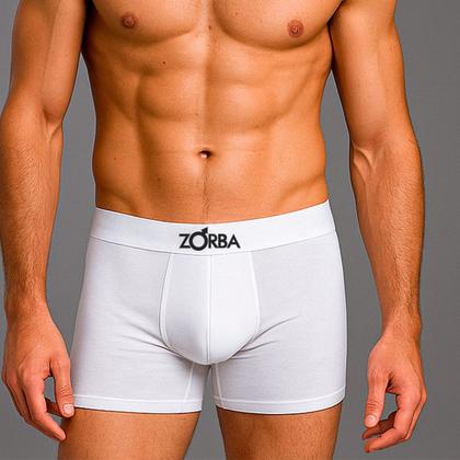 Imagem de Kit 10 Cuecas Boxer Masculina Zorba Algodão Sem Costura Adulto