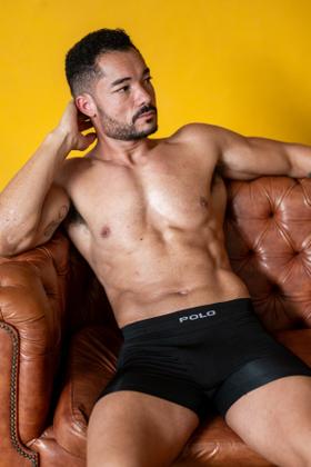 Imagem de Kit 10 Cuecas Boxer Polo Star Algodão 781 Box Masculina Sortida