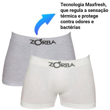 Imagem de Kit 10 Cuecas Boxer Sem Costura Branco e Cinza Zorba 781