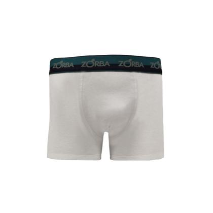 Imagem de Kit 10 Cuecas Zorba Boxer Max Algodão 702 Branco/Mescla - P