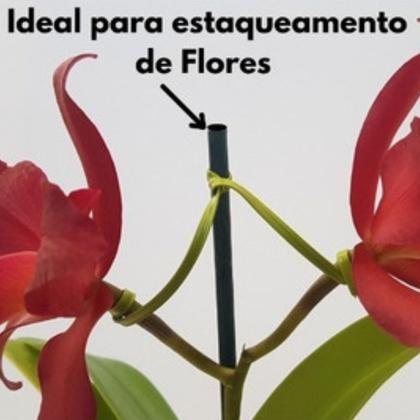Imagem de Kit 10 Estacas Tutor De Plantas Haste Pintada Bambu 50cm Suporte Para Orquídeas Flores Jardinagem