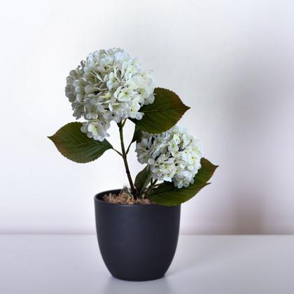 Imagem de Kit 10 Galhos de Flor Hortênsias Artificial para Composição de Quadros Rosa ou Branca - DE3623