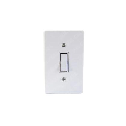 Imagem de Kit 10 interruptor 1 tecla simples c/placa 10a gelo radial