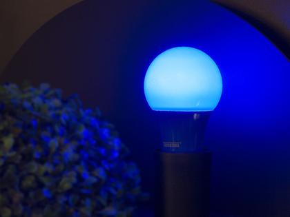 Imagem de Kit 10 lâmpadas led taschibra tkl colors 5w