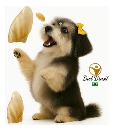 Imagem de Kit 10 Modedor Natural Orelha Bovina Petisco E 2 Osso Fêmur Cor Bege