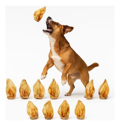 Imagem de Kit 10 Modedor Natural Orelha Bovina Petisco E 2 Osso Fêmur Cor Bege