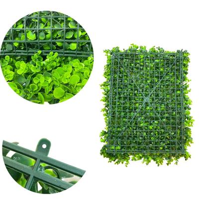 Imagem de Kit 10 Placas de Eucalipto 40 x 60cm Muro Inglês Jardim Vertical