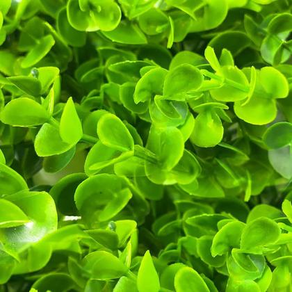 Imagem de Kit 10 Placas de Eucalipto 40 x 60cm Muro Inglês Jardim Vertical