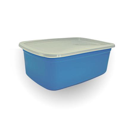 Imagem de Kit 10 Pote Plástico Cozinha Vasilha Retangular Porta Mantimentos Com Tampa Colorido