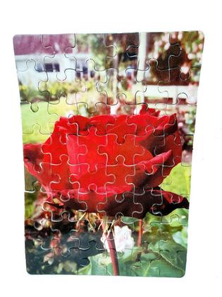 Imagem de Kit 10 Quebra-Cabeça Cognitivo Reabilitação para Idosos - Flores e Rosas