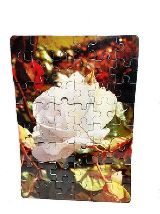 Imagem de Kit 10 Quebra-Cabeça Cognitivo Reabilitação para Idosos - Flores e Rosas