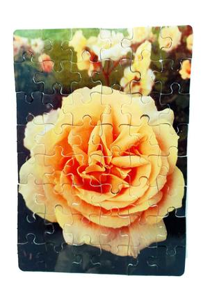 Imagem de Kit 10 Quebra-Cabeça Cognitivo Reabilitação para Idosos - Flores e Rosas