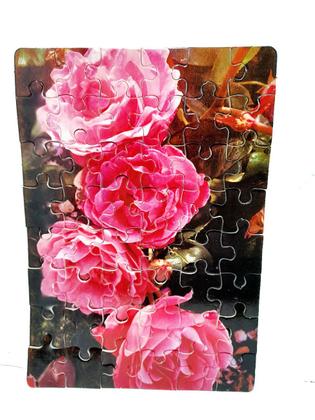 Imagem de Kit 10 Quebra-Cabeça Cognitivo Reabilitação para Idosos - Flores e Rosas