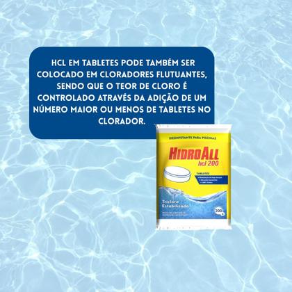 Imagem de Kit 10 Un Pastilha Tablete Tab HCL 200 Para Piscinas
