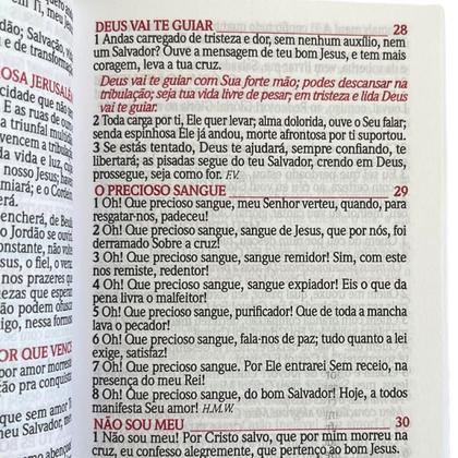 Imagem de Kit 10 unidades harpa avivada e corinhos brochura pequena letra maior leão preta e prata