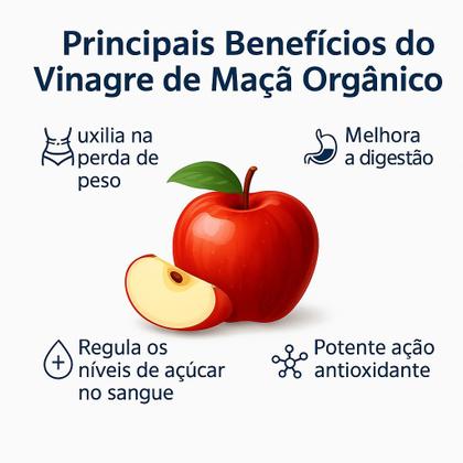 Imagem de Kit 10 Vinagre de Maçã Orgânico Montes Verdes 530 ml