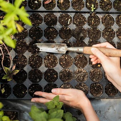 Imagem de Kit 100 Bandeja Mudas Sementeira Cultivo Plantas 128 Células