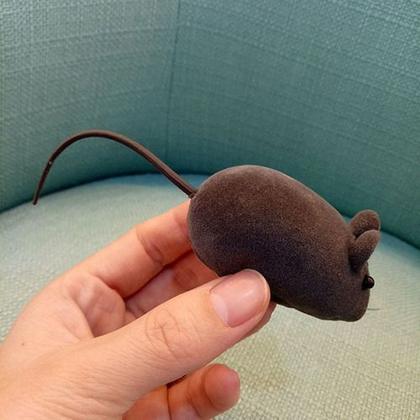 Imagem de Kit 100 Ratinhos com Apito Brinquedo Rato para Gato Atacado Petshop 