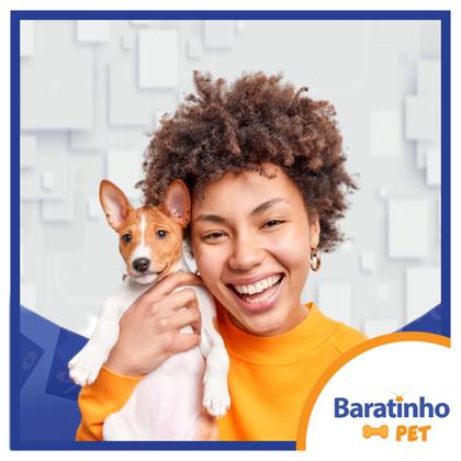 Imagem de Kit 12 Bolinhas Colorida Anti Stress Mordedor Pet Cachorro