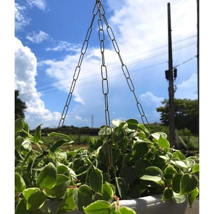 Imagem de Kit 12 Correntes Tripla 64cm Para Vasos Suspensos De Plantas E Flores