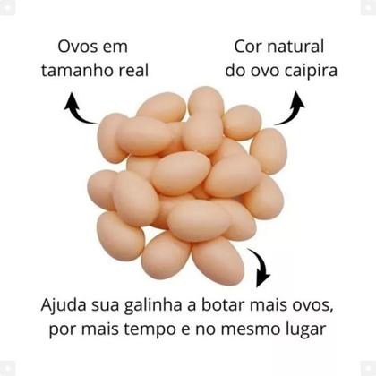 Imagem de Kit 12 Ovos Indez De Plástico - Estimula A Galinha Botar Mais Ovos