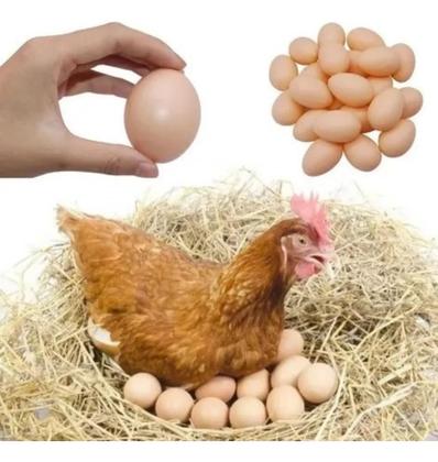 Imagem de Kit 12 Ovos Indez De Plástico - Estimula A Galinha Botar Mais Ovos