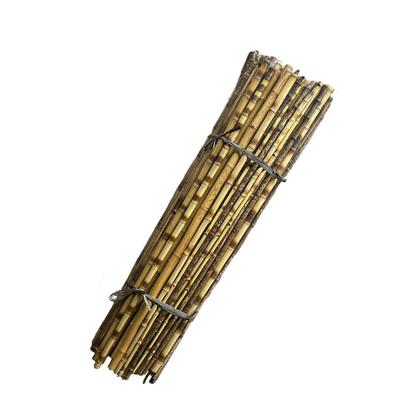 Imagem de Kit 12un Tutor Estaca De Bambu Preto P/ Plantas com 120cm
