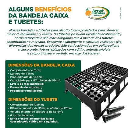 Imagem de Kit 17 Bandejas Caixa 187 Células Completas Com Tubetes 55cm