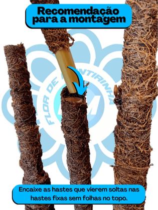 Imagem de Kit 2 Arvore Brasileirinha Croton Artificial Grande Sem Vaso Decoração