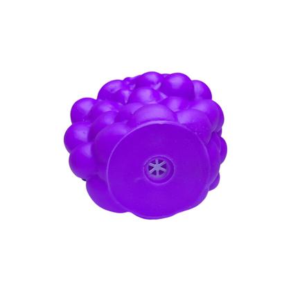Imagem de KIT 2 Brinquedos Cachorro mordedor Uva Vinil Savana Pet