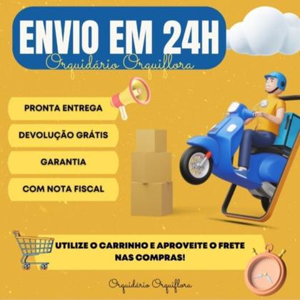 Imagem de Kit 2 Cachepot Quadrado 25x25 Rústico 2 Haste Arame Preto