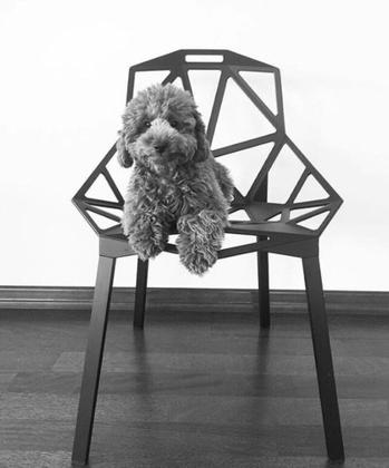 Imagem de Kit 2 Cadeira Design Chair One Penélope Assento Plástico Preto