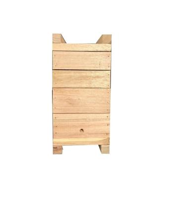 Imagem de KIT 2 Caixas Inpa Abelhas Sem Ferrão Eucalipto