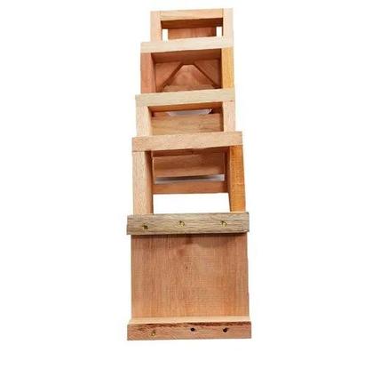 Imagem de KIT 2 Caixas Inpa Abelhas Sem Ferrão Eucalipto