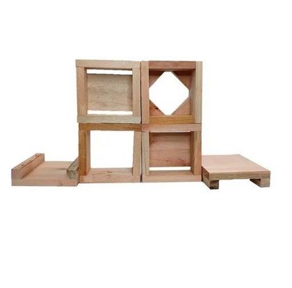 Imagem de KIT 2 Caixas Inpa Abelhas Sem Ferrão Eucalipto