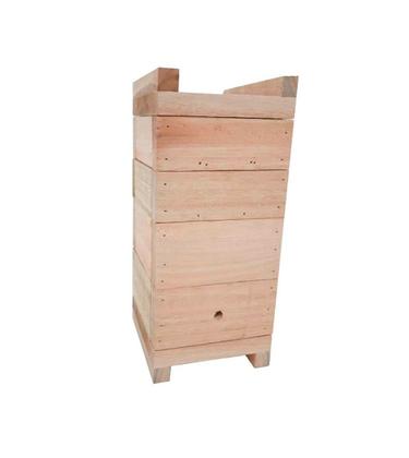 Imagem de KIT 2 Caixas Inpa Abelhas Sem Ferrão Eucalipto