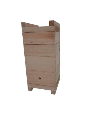 Imagem de KIT 2 Caixas Inpa Abelhas Sem Ferrão Eucalipto