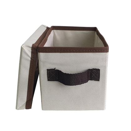 Imagem de Kit 2 Caixas Organizadoras Com Tampa Dobravel Clouset Guarda Roupa Escritório Pequena Linha Premium Luxo