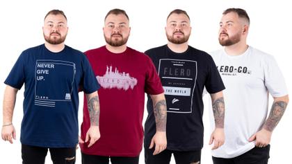 Imagem de Kit 2 Camisetas Camisas Blusas Plus Size G1 G2 G3 Flero